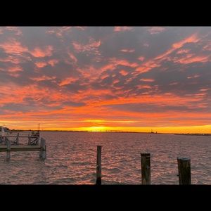 Meet your Posher, Fern